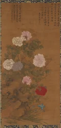 Pivoines